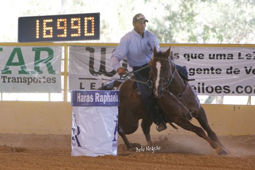 EF LAP OF BROWN